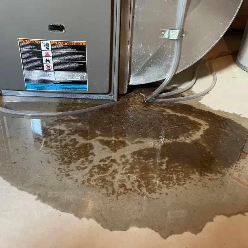 Appliance Leak Cleanup in Woodlawn, IL